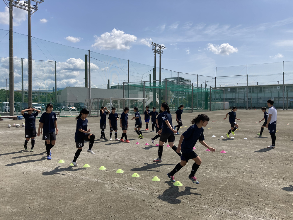 T-Dreamのサポーターです。