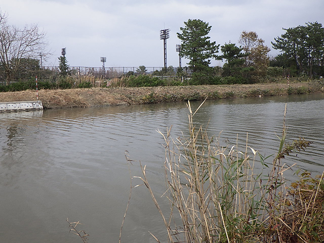 準用河川柳瀬川改修工事